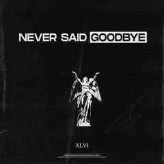 Never Said Goodbye