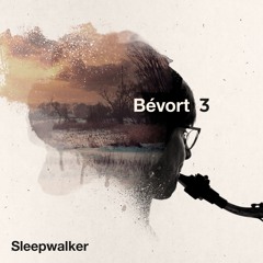04 - Sleepwalker