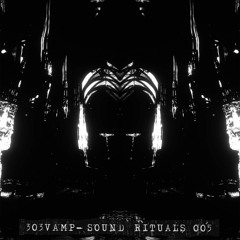 303Vamp -Sound Rituals005
