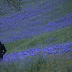 speaking in whispers (prod. ProdGxm)