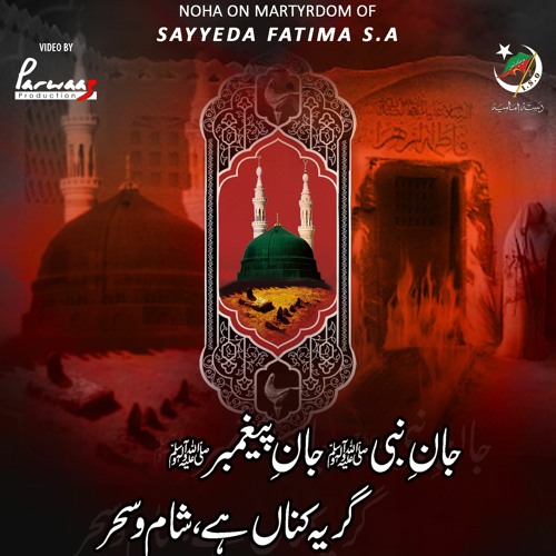 Jan E Nabi Jan E Paighamber | Dasta e Imamia | Ayam e Fatimiyah s.a