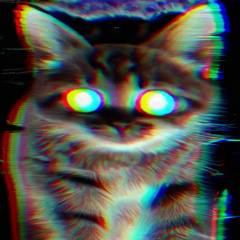 momentary paws