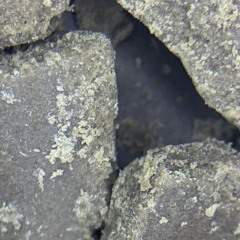 delaying the inevitable