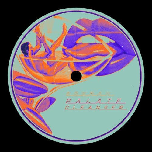 Listen to PREMIERE: GOVNAH PALATE CLEANSER by TRANSITION in Acid Listen to PREMIERE: GOVNAH PALATE CLEANSER by TRANSITION in Acid