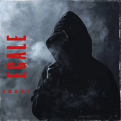 JOSHI - EGALE