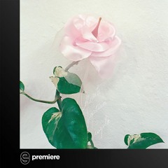 Premiere: Delicate Features - Opened My Eyes - Freeride Millenium