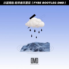 小蓝背心 - 我怕来者不是你（FyBe Bootleg）