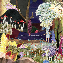 Stream Psychedelic Porn Crumpets | Listen to And Now for the ...