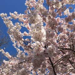 🎤🎸 C 起來，我的佳偶，我的美人 Rise up, my love | 感謝主! | Rendition from Eng to Chi by Zion K. Park (’22. 2.)