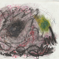 paper and bugs and a dead deer in a mini fridge