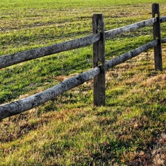 Jordan Davis-Buy Dirt cover