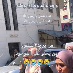 تلاوة آيات من سورة العنكبوت ... آيات للتدبر اللهم انفعنا بالقرآن