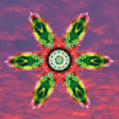 Ideas de un atardecer rosa