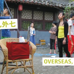 学习骂人 Swiss Chinese Explorations