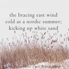 cold wind kicking up sand (naviarhaiku 457)