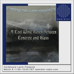 Cardboard Lamb Presents 2: A Cool Wind Blows Between Concrete and Glass ༄  6th March 2022
