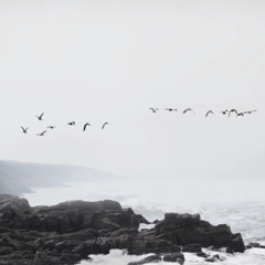 emptiness without you