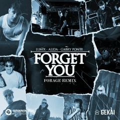 LUM!X, Alida & Gabry Ponte - Forget You (Forage Remix)