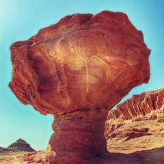 Josh Heller- Shrooms In Negev