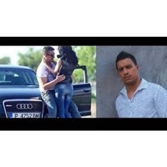 Dani Printul Banatului - In Discoteca