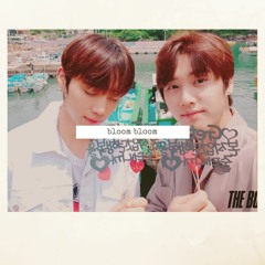 Bloom Bloom Acoustic Ver. - The Boyz (Jacob & Sunwoo)
