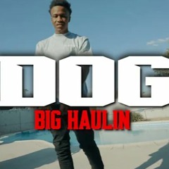 Dogg - Big Haulin
