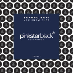 Sandro Bani - You Know That