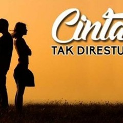 Cinta Tak Direstui 2020 ( Zulham Sumantri X MR BEBEK )#Muhammad Agung