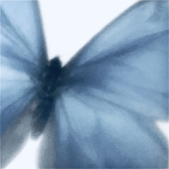 나비 remix