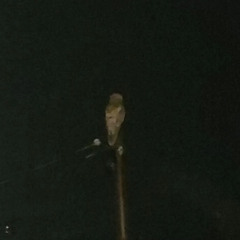 UntitledJan192025352PM