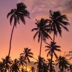 beachcore