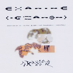 examine-mix-12-w-araknyl-2021-04-01