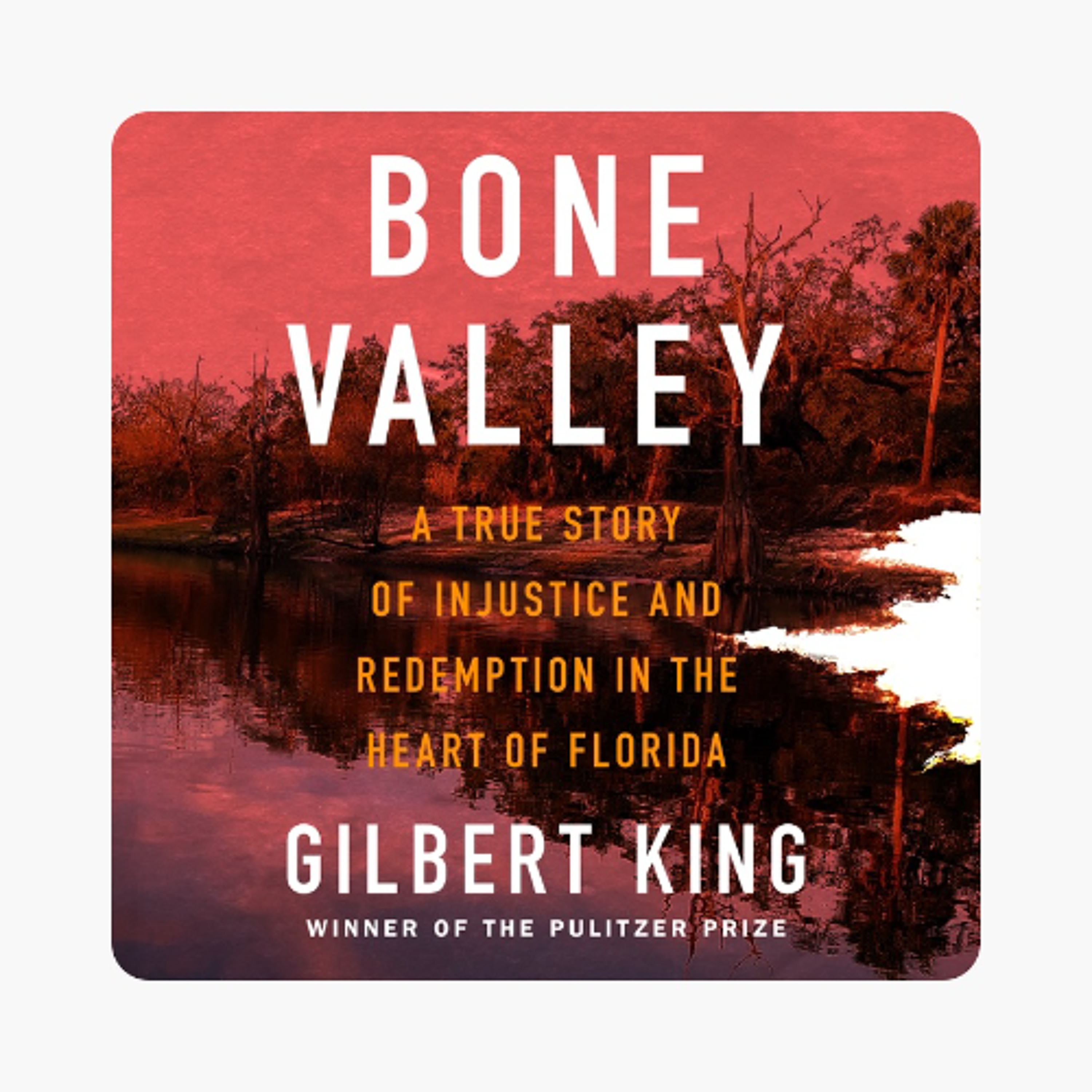 Book 51: Gilbert King - Bone Valley: A True Story of injustice and Redemption