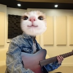 Divine Meditation - Tim Henson (Nyachan Remix)