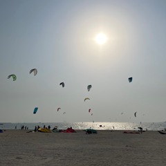 Georges House Set #5