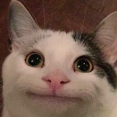 papa me want more takis meme