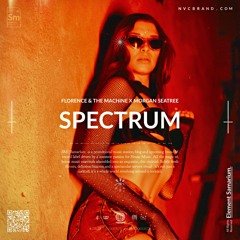 Florence & The Machine - Spectrum (Say My Name) [Morgan Seatree Extended Remix]