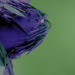 Tell me chopped and screwed ☔️