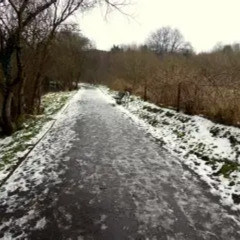 Ice Down on the Road