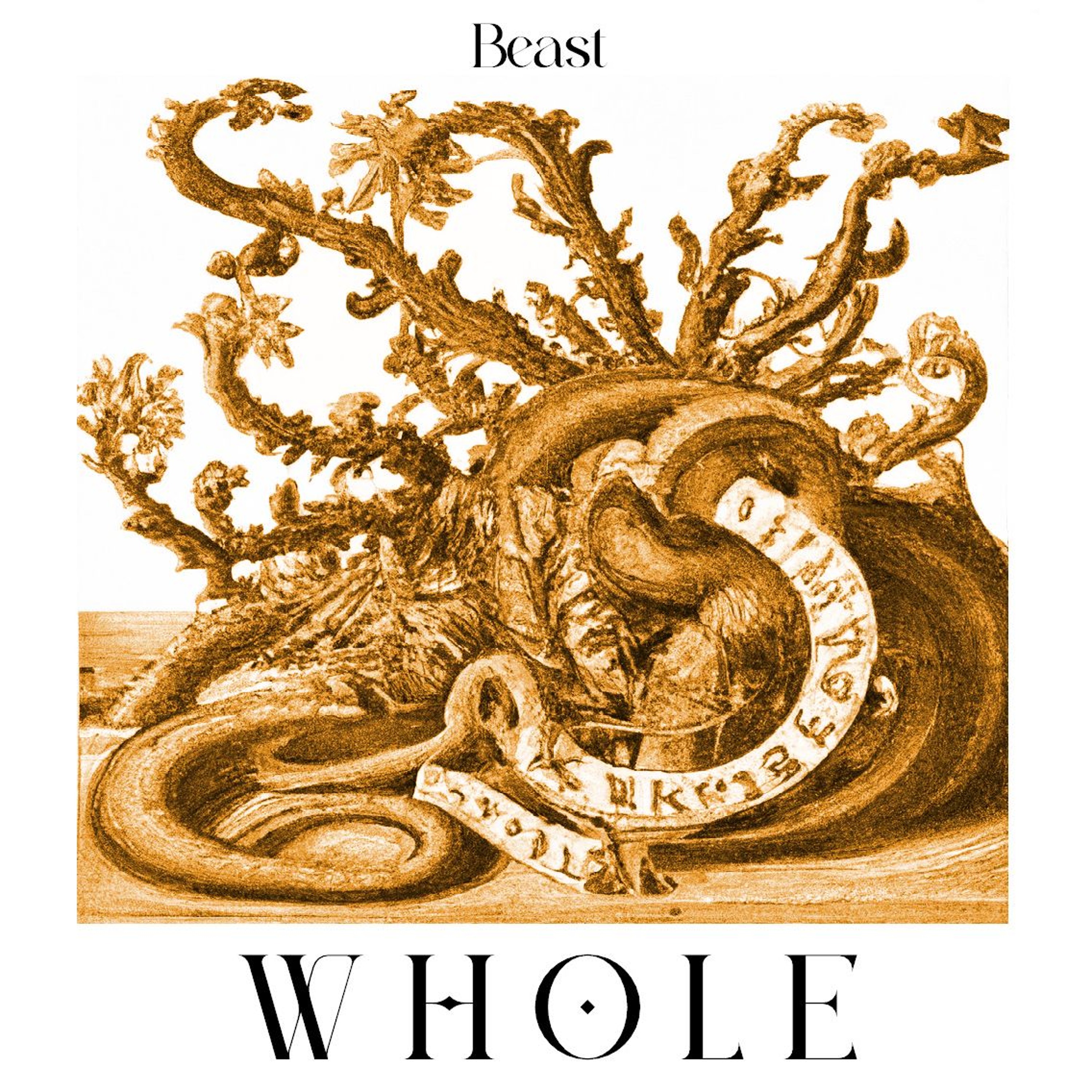 WHOLE - Beast (Single Edit) episode artwork