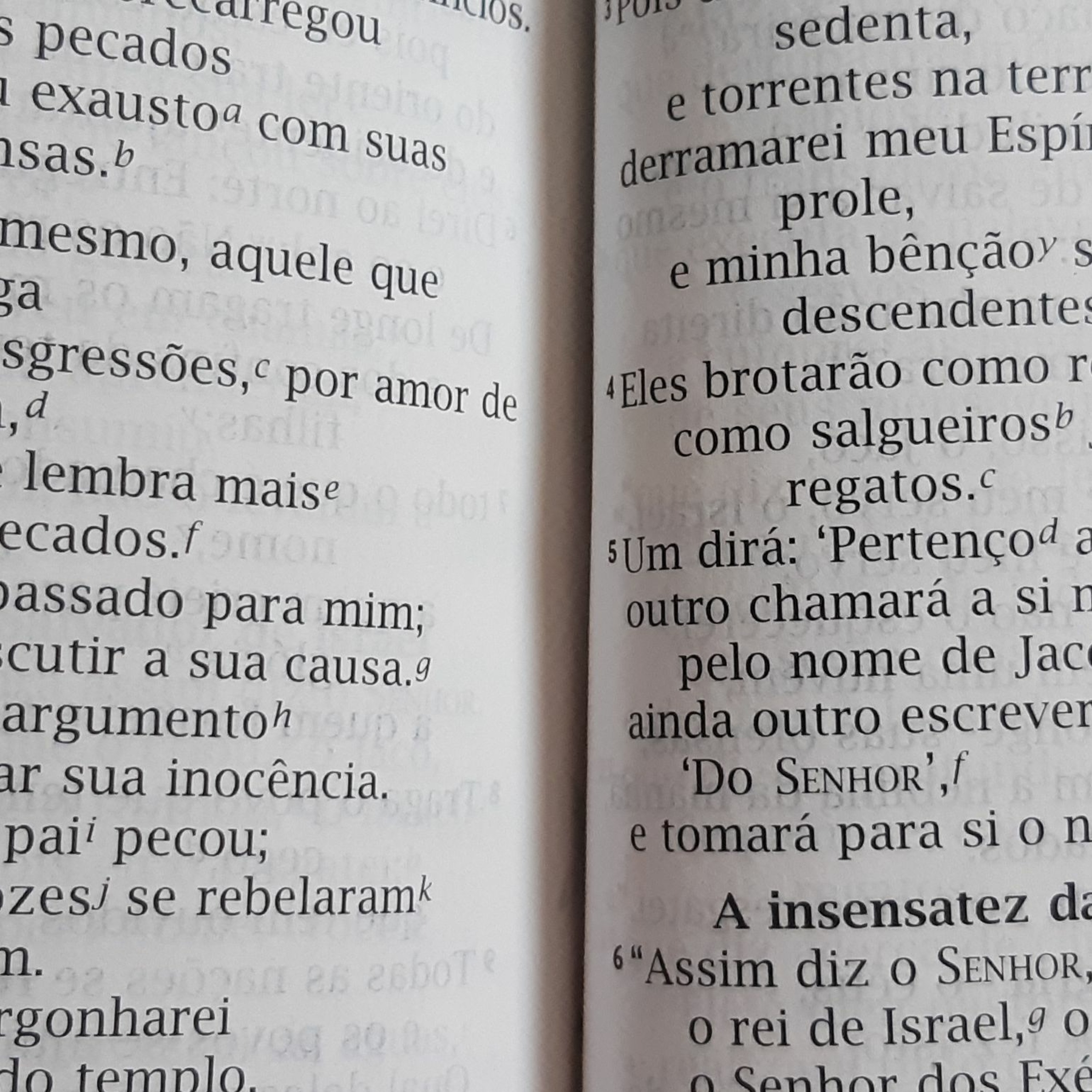 Espada de dois gumes
