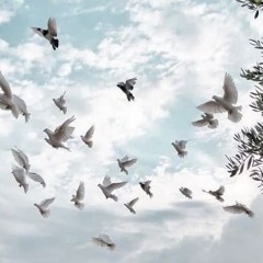 تلاوات خاشعة