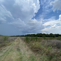 Dreaming in Texas