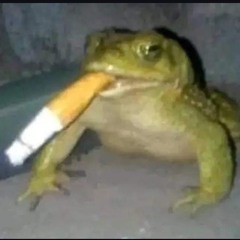 Satierf - ＢＡＲÕＥＳ ＤＡ ＰＩＳＡＤＩＮＨＡ － ＶＡＱＵＥＩＲＯ ＤＡ ＺＯＮＡ ＲＵＲＡＬ [ｌｏｆｉ v e r s i o n ]