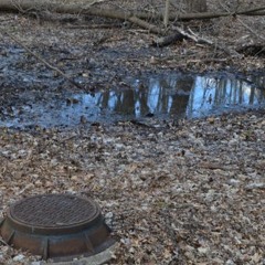 Here's That Rainy Day lo-fi