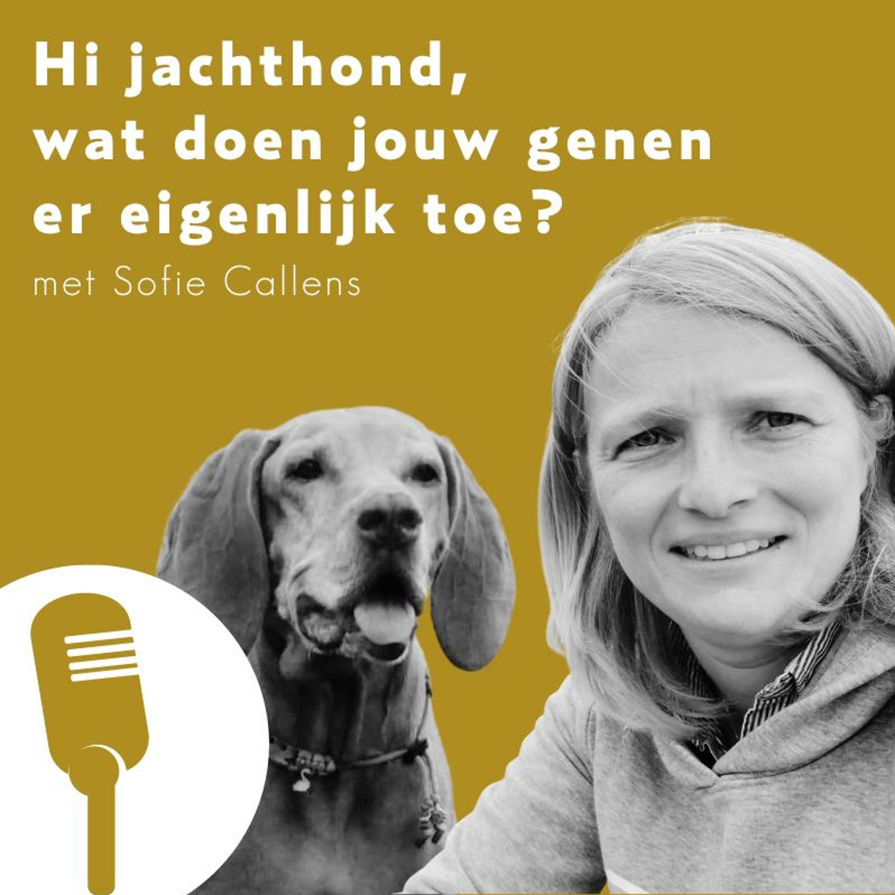 Bewuste Hondenmoeders