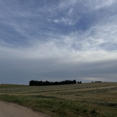 D-Tek N' Dr. Panic – Psychedelic Cowboy