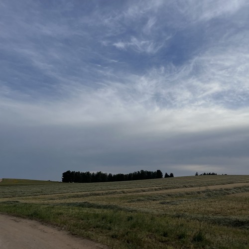 D-Tek N' Dr. Panic – Psychedelic Cowboy