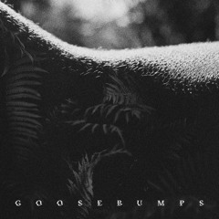 Goosebumps (feat. Phauna)