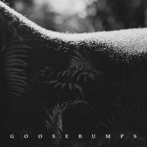 Goosebumps (feat. Phauna)